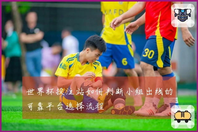 世界杯投注站如何判断小组出线的可靠平台选择流程